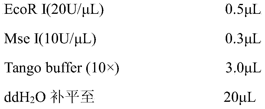 Establishment method and use of wild bluegrass AFLP fingerprint