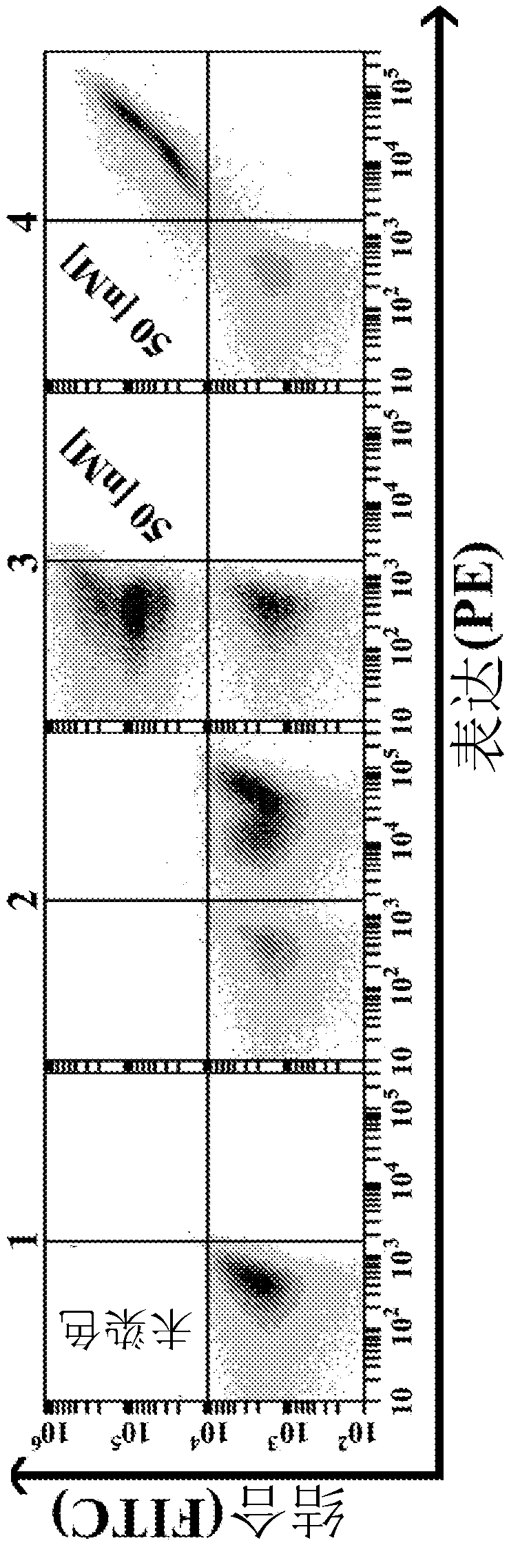 VARIANTS OF AMYLOID [beta]-PROTEIN PRECURSOR INHIBITOR DOMAIN