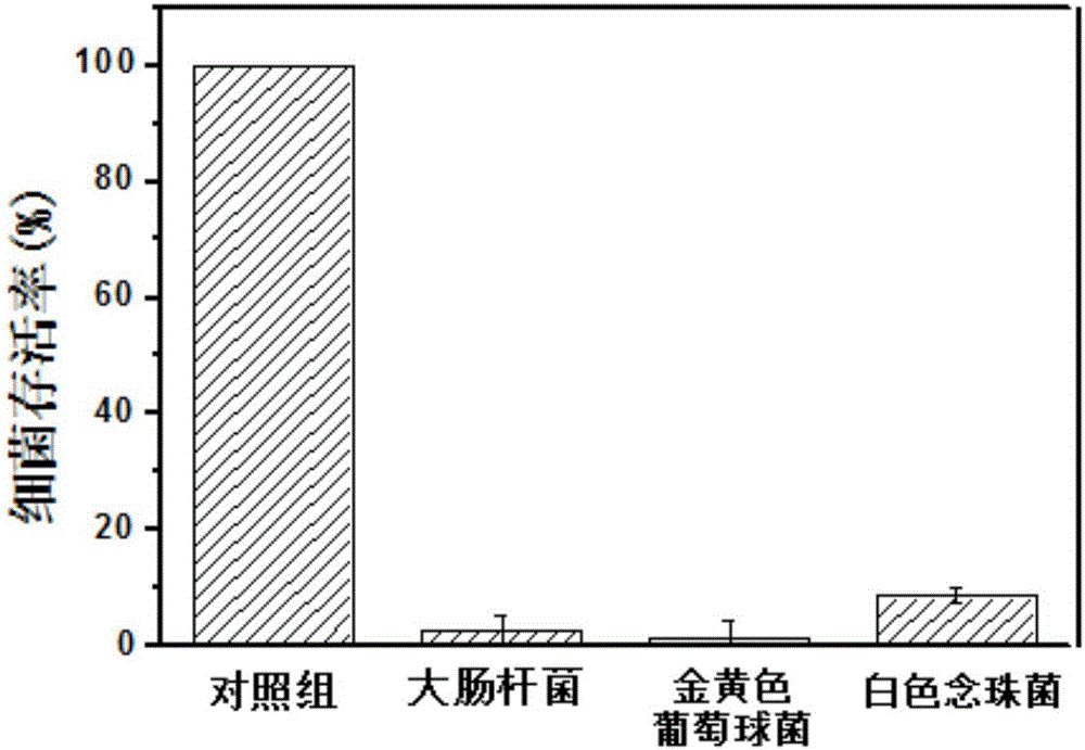 Anti-bacterial liquid adhesive bandage and preparation method thereof