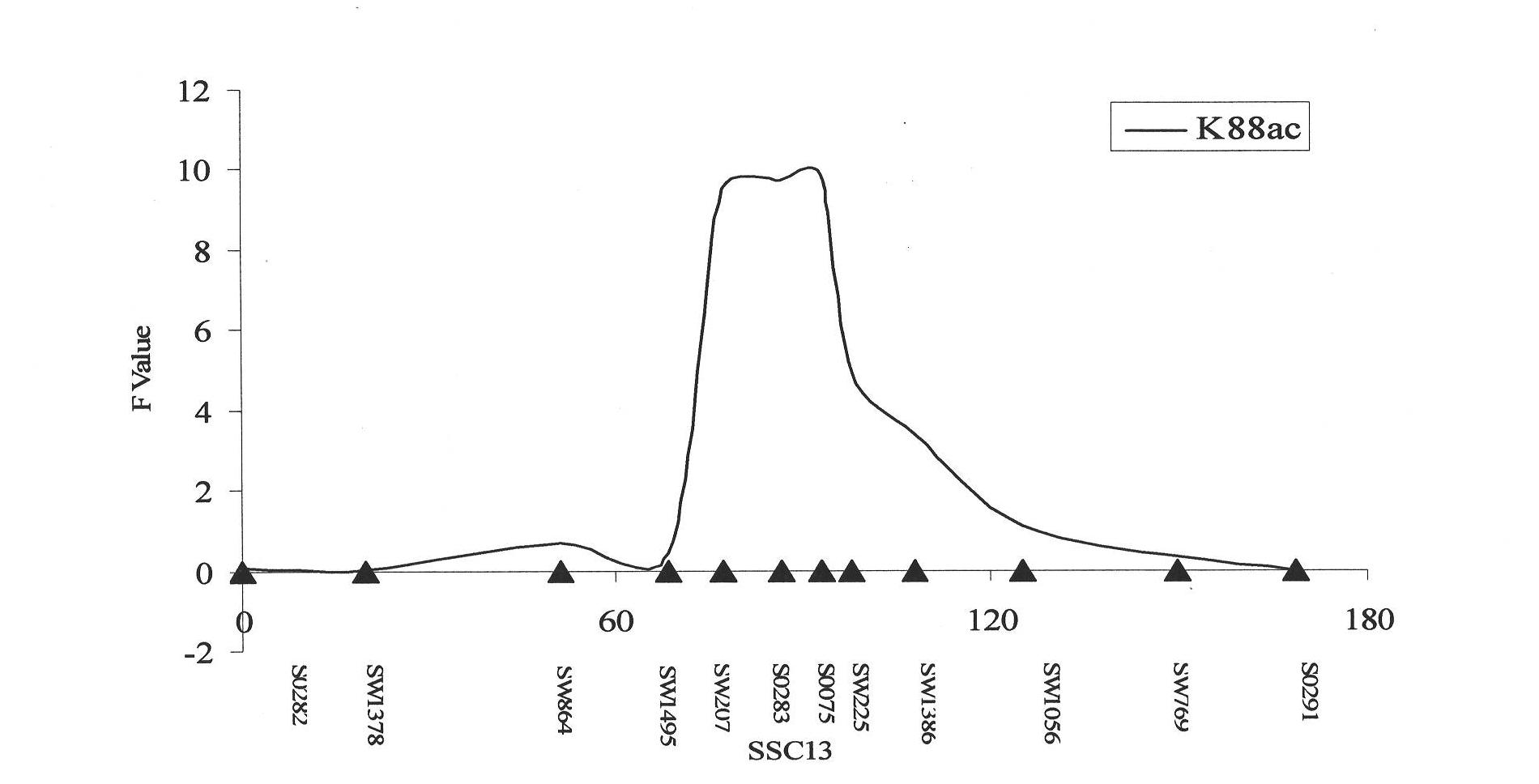 Key marker sites and applications of muc13 gene affecting susceptibility/resistance to f4ac diarrhea in piglets