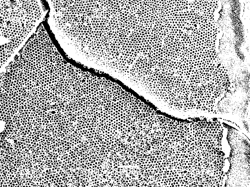 Method for preparing porous array ZnO thin film in graded structure by electro-deposition method