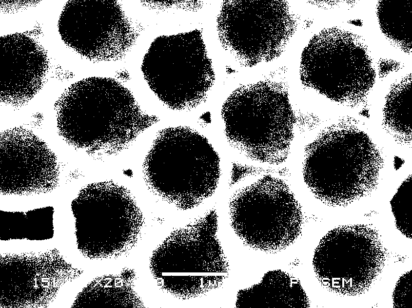 Method for preparing porous array ZnO thin film in graded structure by electro-deposition method