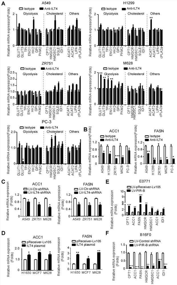 Blockade of tumor-derived ILT4 in adoptive T-cell therapy