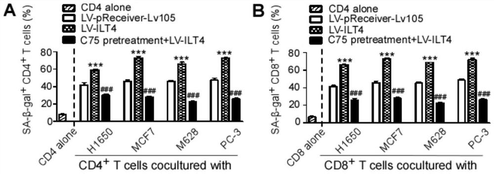 Blockade of tumor-derived ILT4 in adoptive T-cell therapy