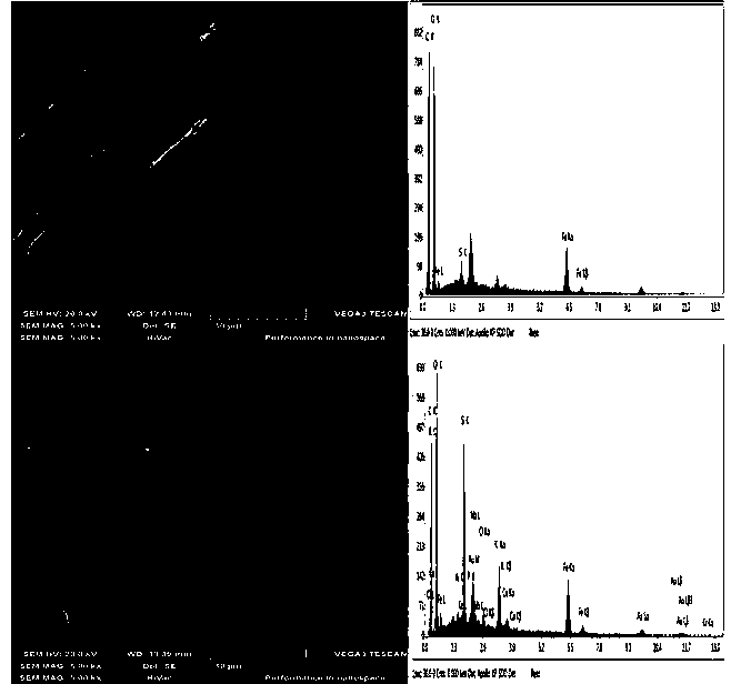 Preparation and applications of biocarbon supported thermally activated iron containing ore composite material