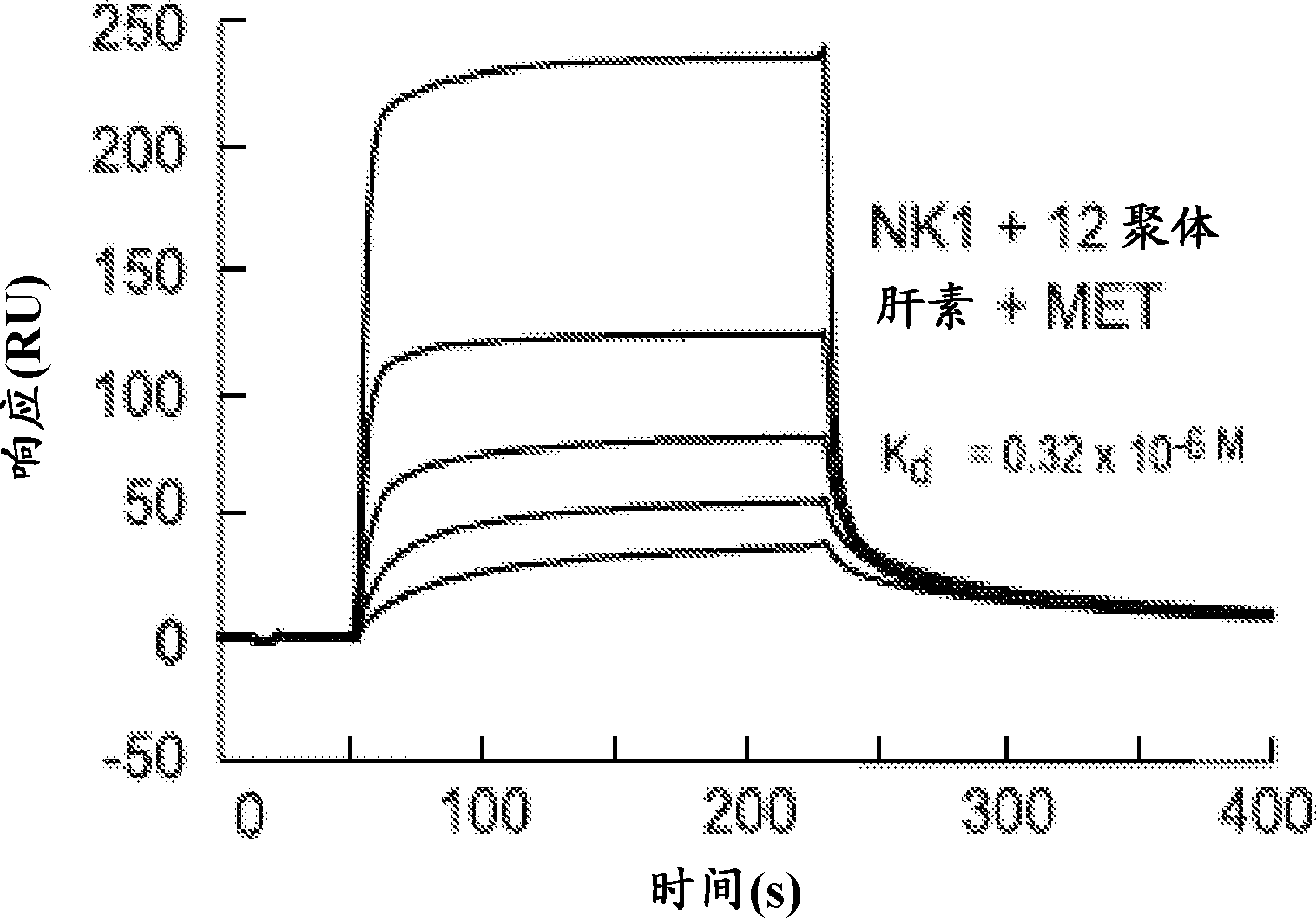 Compositions and methods for inducing angiogenesis