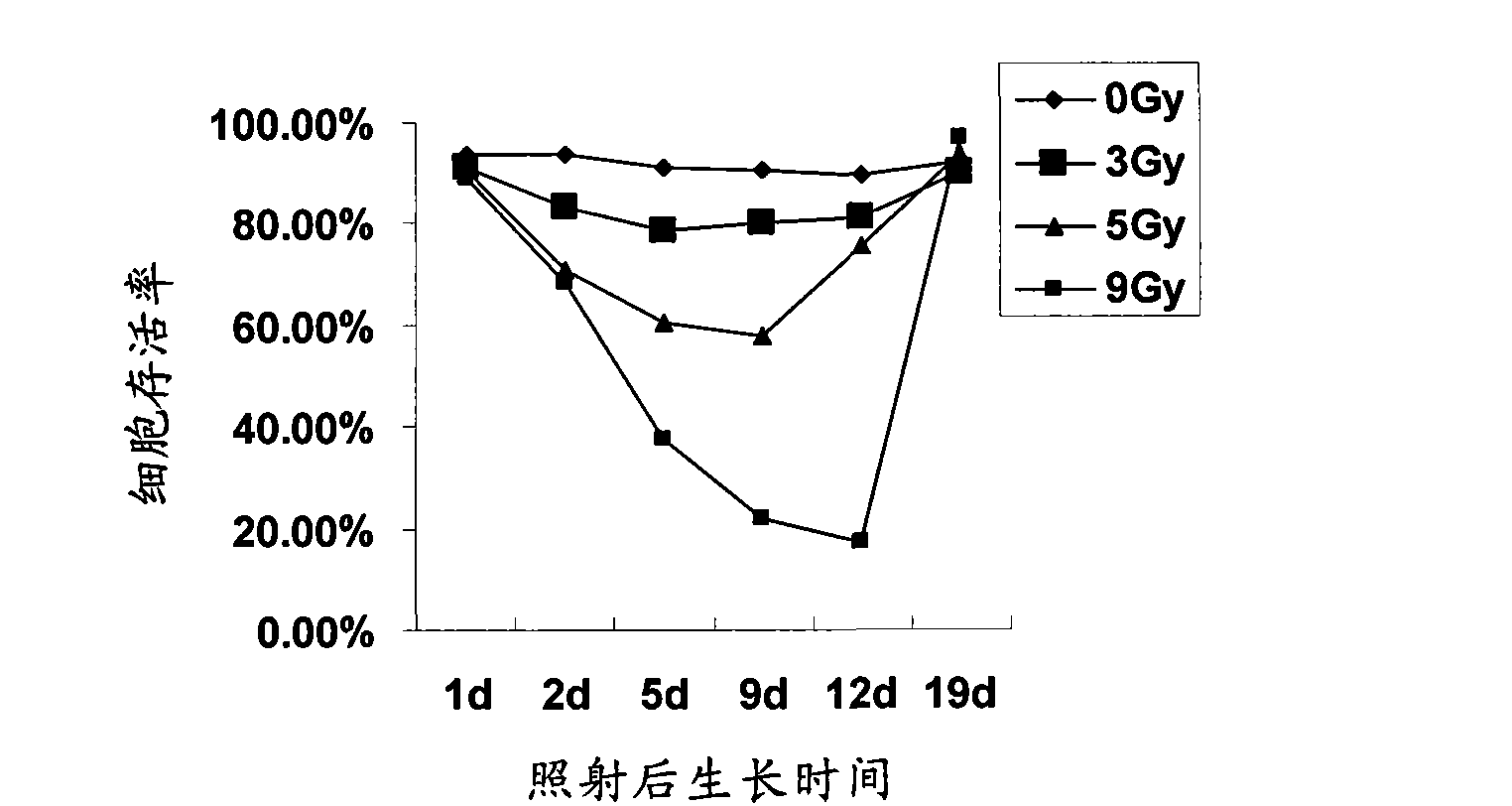 Survivability-screened cancer stem cells, preparation method, application and kit as well as antigen composite thereof, preparation method, application and kit