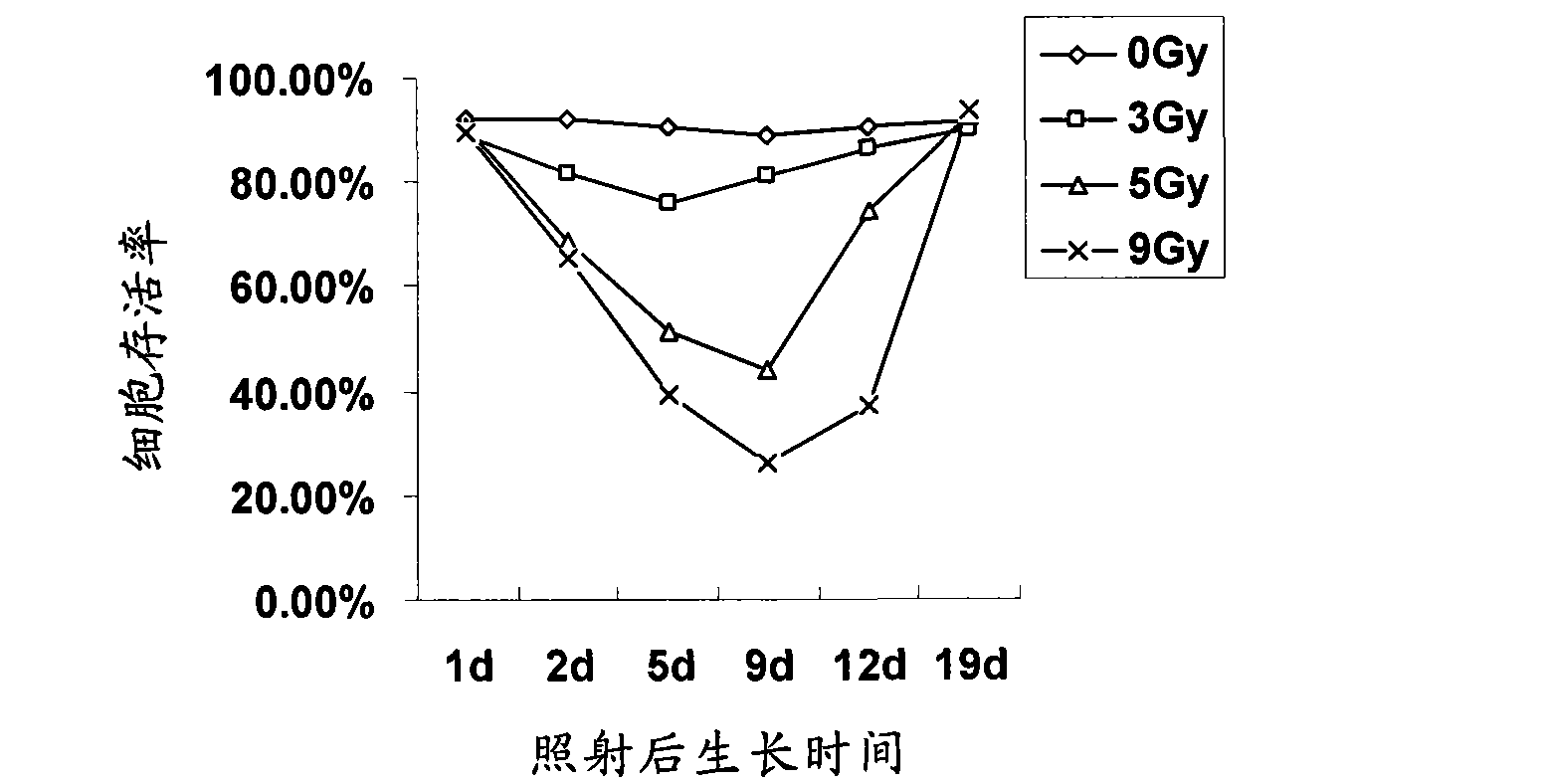 Survivability-screened cancer stem cells, preparation method, application and kit as well as antigen composite thereof, preparation method, application and kit