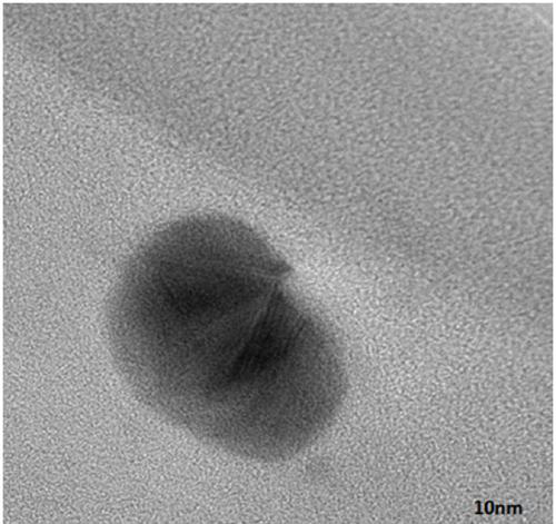 Biomedical silicon rubber with antibacterial property