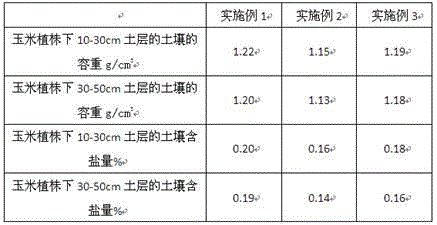 Root salt control method for interplanting kaline soil corn and suaeda salsa