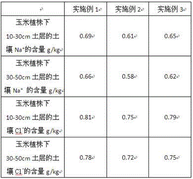 Root salt control method for interplanting kaline soil corn and suaeda salsa