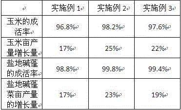 Root salt control method for interplanting kaline soil corn and suaeda salsa