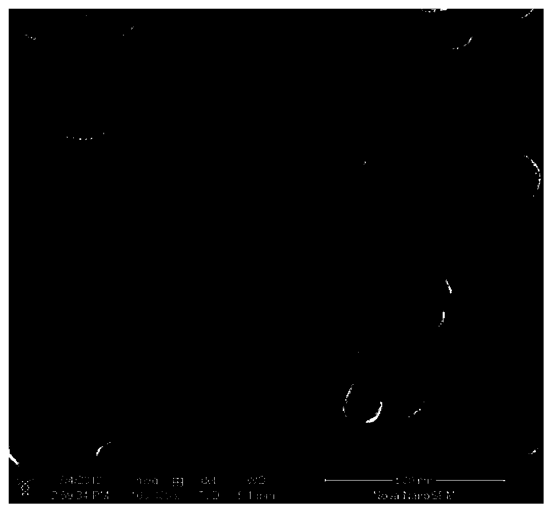 Hybridized particle, polymer-based composite material, their preparation methods and use of polymer-based composite material