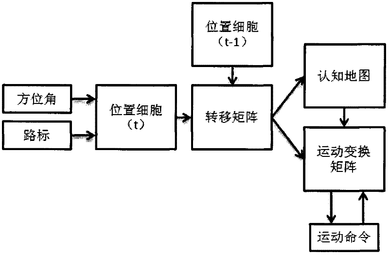 Place cell bionic robot navigation algorithm