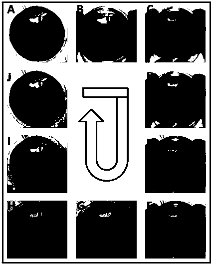 Elastic conductive organic-inorganic hybrid airgel and its preparation method and application