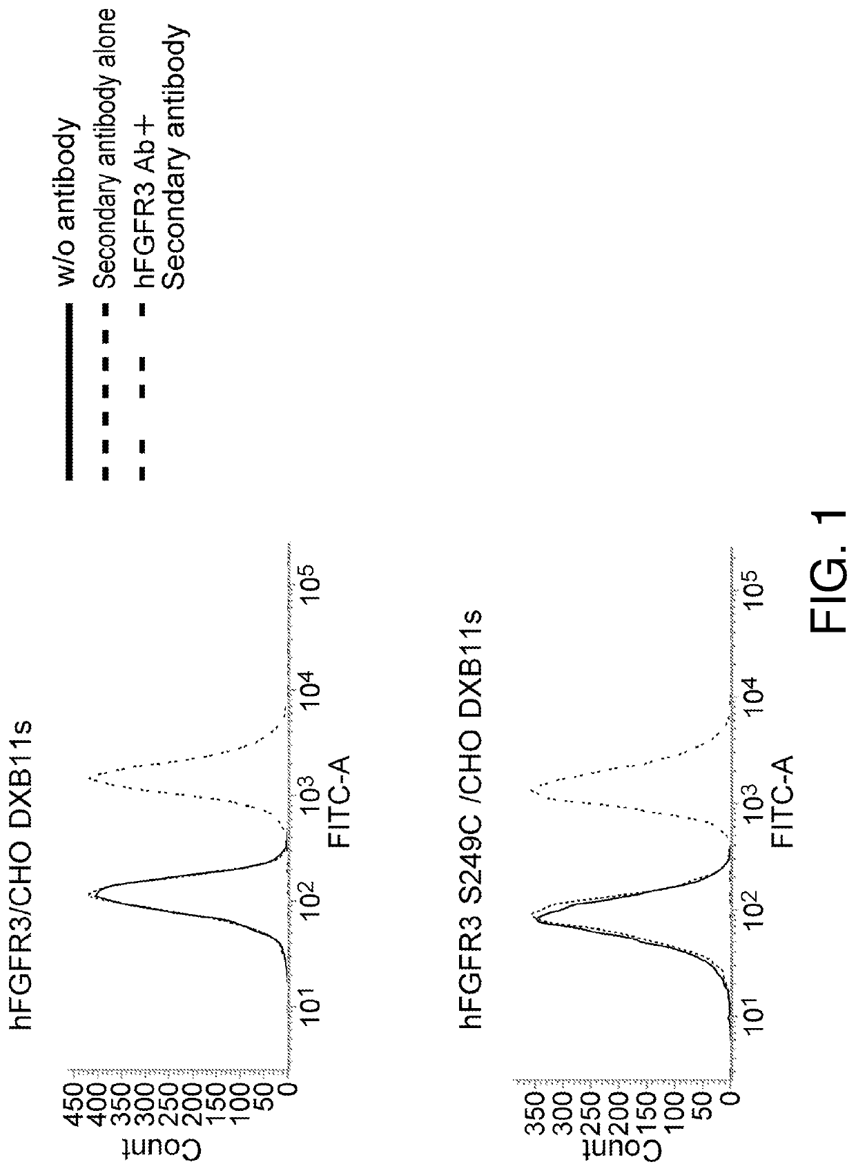 Anti-mutation type fgfr3 antibody and use therefor