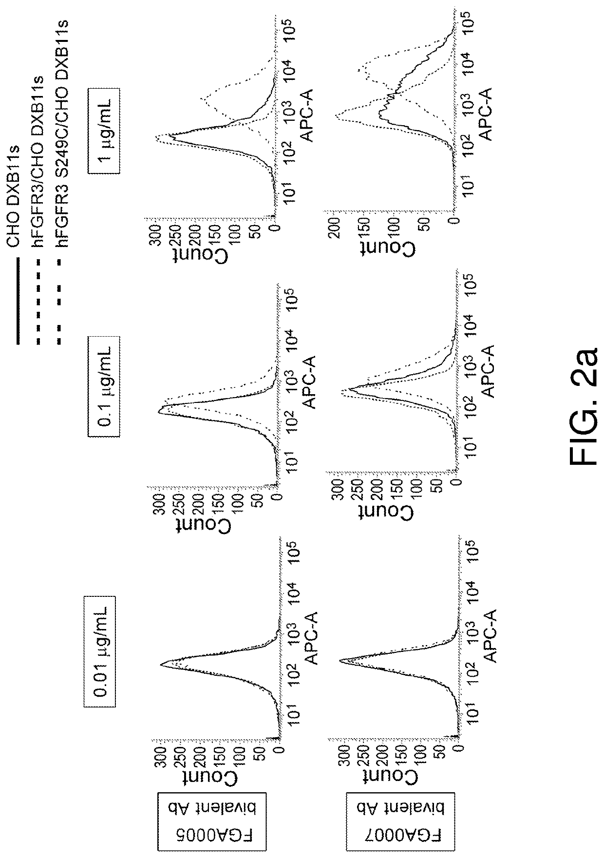 Anti-mutation type fgfr3 antibody and use therefor