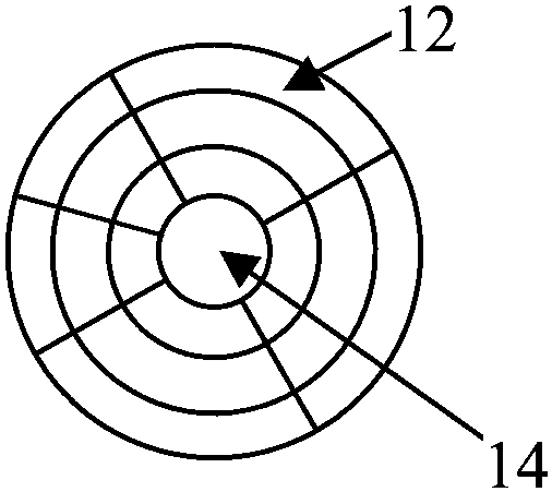 Intelligent delayed plant irrigation device