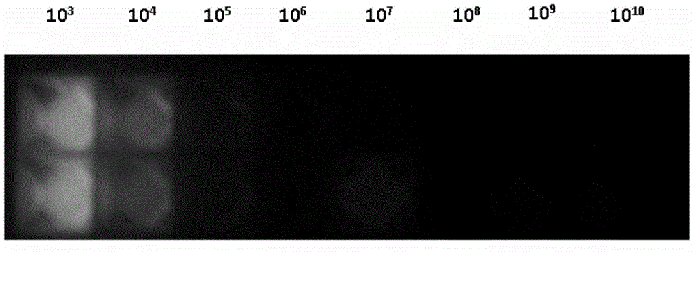 A household networked system for detecting occult blood in feces and urine