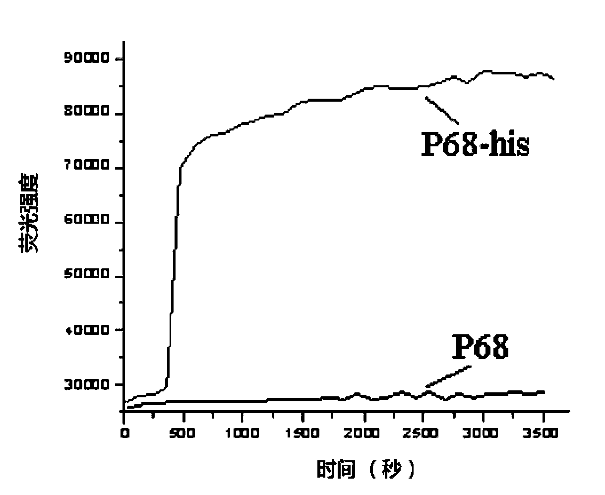 Nucleic acid aptamer molecular beacon probe for detecting histidine-tag recombinant proteins and detection method thereof