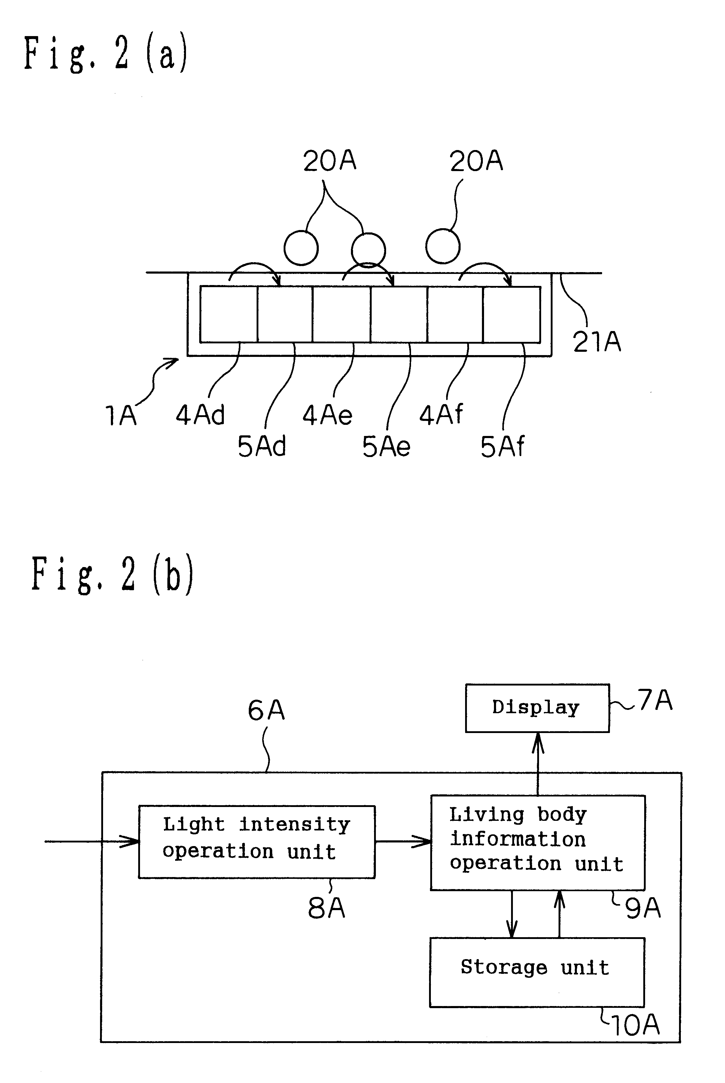 Living body information measuring apparatus living body information measuring method body fat measuring apparatus body fat measuring method and program recording medium