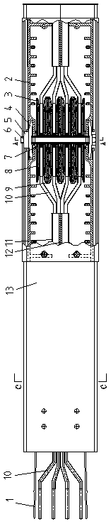 Busway without transfer structure