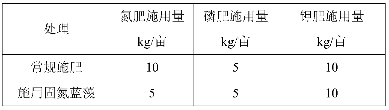 A method of using nitrogen-fixing cyanobacteria to improve acidified soil and improve soil fertility