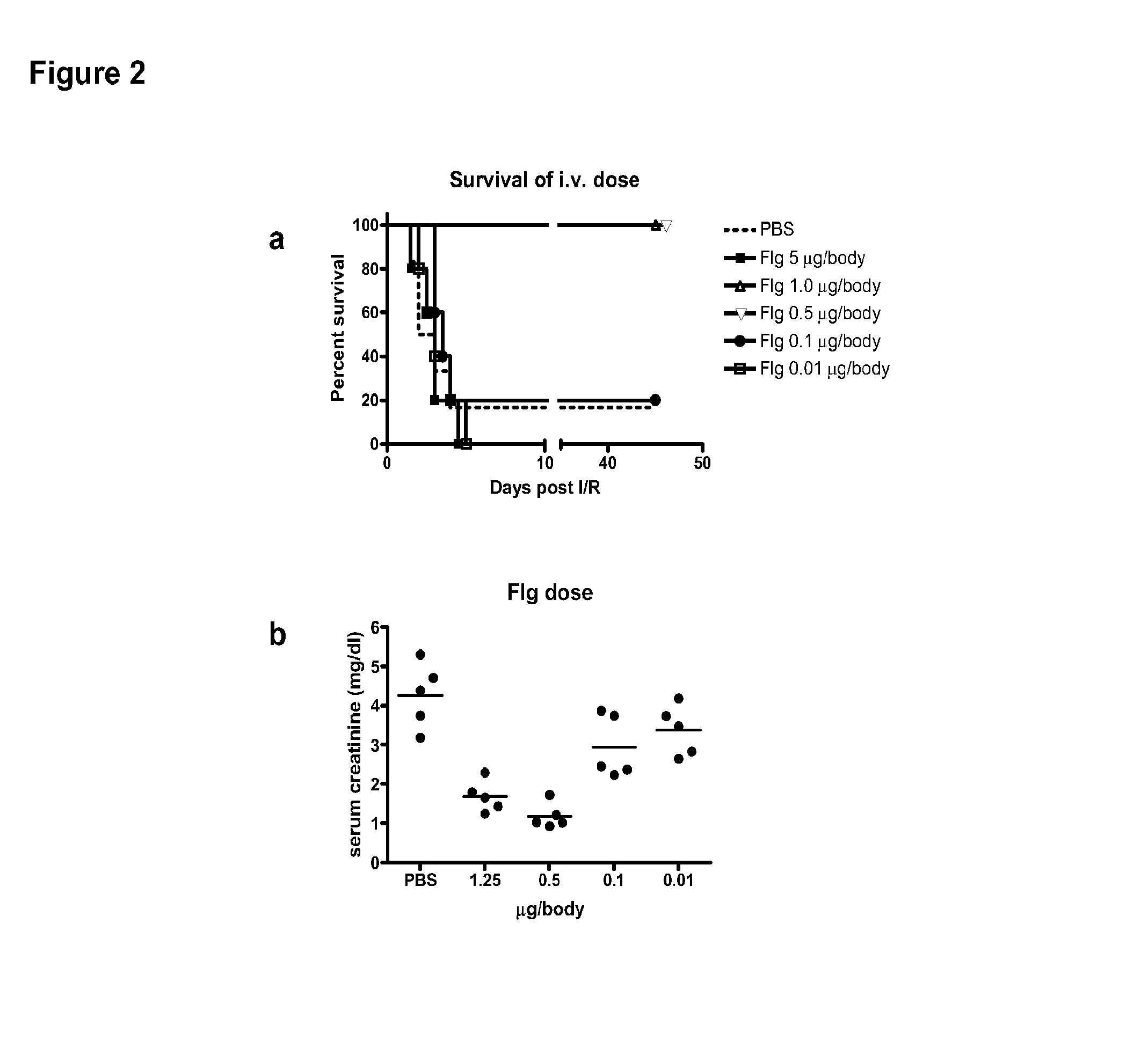 Methods for treating reperfusion injuries using flagellin