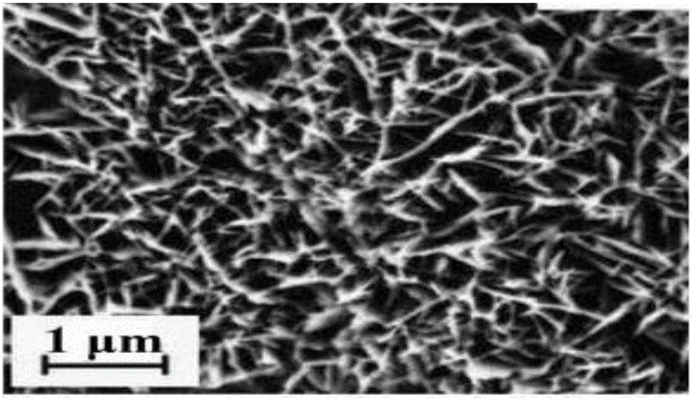 Anti-haze window screen fiber based on conductive macromolecules, and preparation method and application thereof