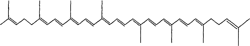 Enteric solid preparation containing lycopene, resveratrol or melatonin and preparation method of enteric solid preparation