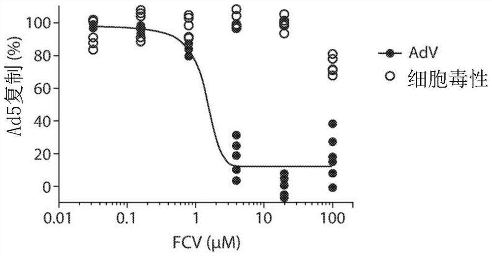 Inhibition of adenoviruses with felociclovir