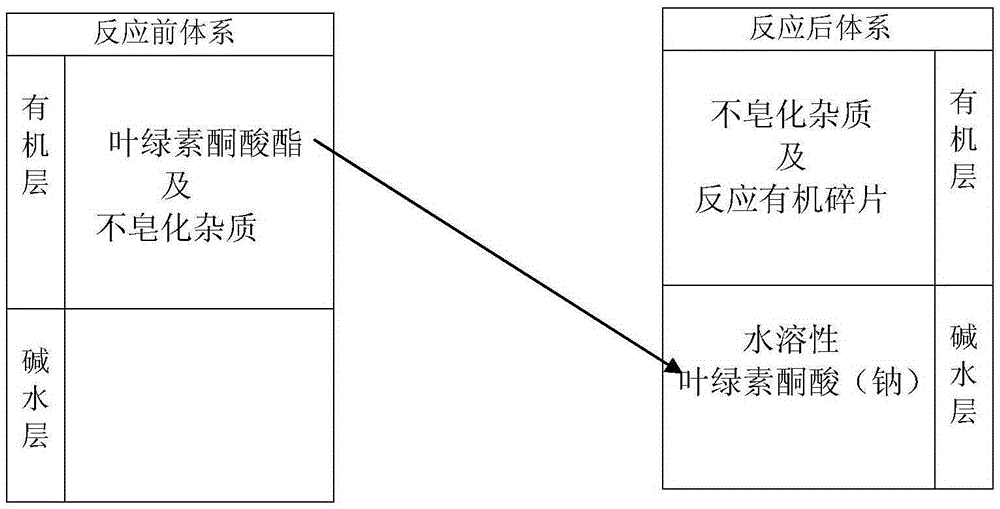 Method for preparing chlorophyll sodium copper from mulberry leaves