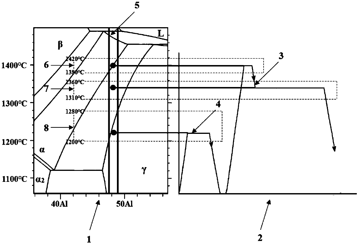 Heat treatment method for obtaining near-lamellar texture of peritectic casting TiAl alloy