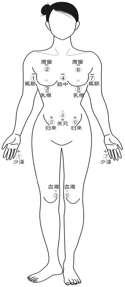 Biomimetic current breast enlargement instrument and breast enlargement method thereof