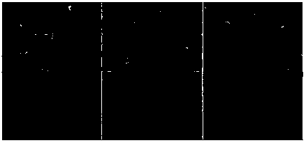 Method for preparing implant surface with multi-scale complex porous structure