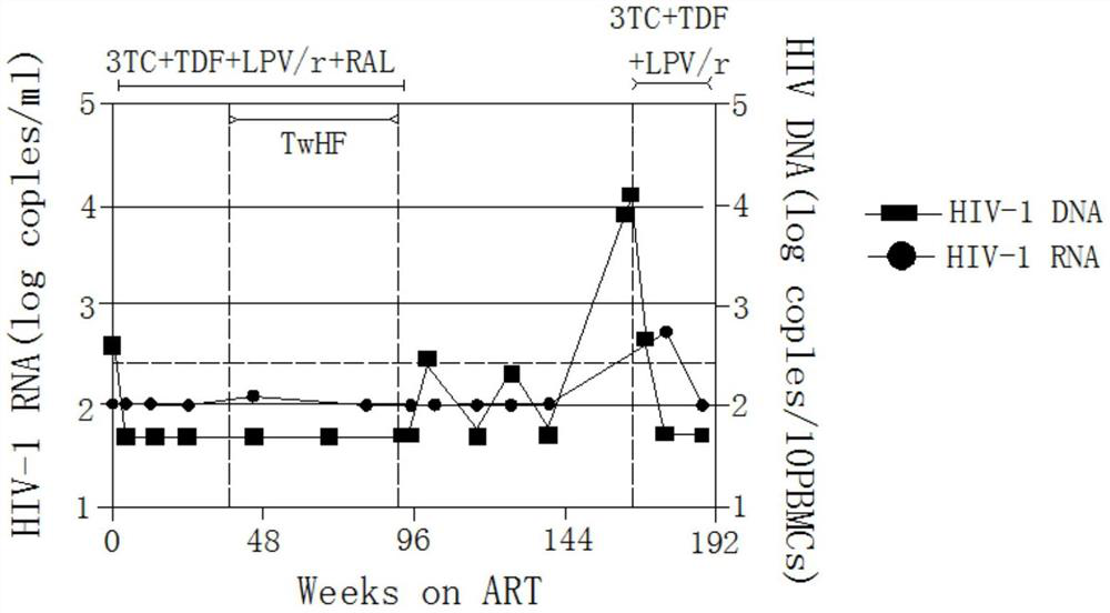 Application of Tripterygium wilfordii in the preparation of functional drugs for curing AIDS