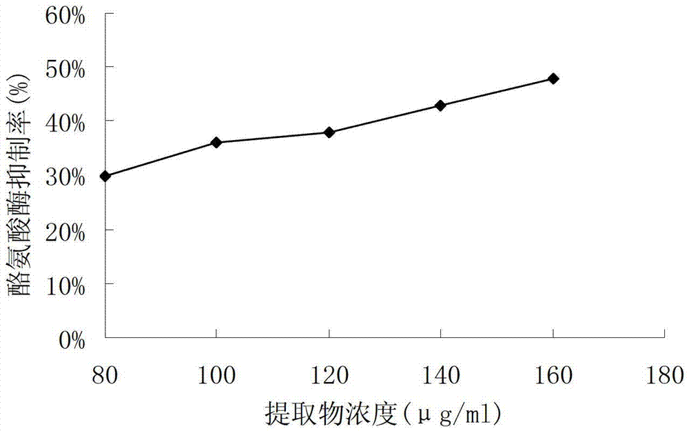 Matsutake extract with functions of resisting aging, moisturizing and promoting penetration and preparation method and application thereof