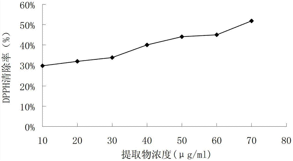 Matsutake extract with functions of resisting aging, moisturizing and promoting penetration and preparation method and application thereof