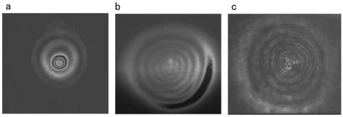 Method for detecting concentration of micro-plastic by using near-infrared 1550nm laser