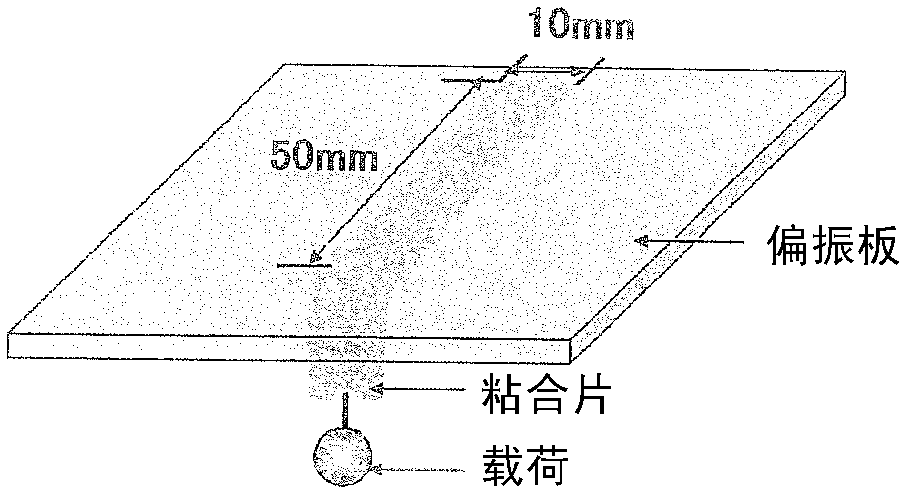 Adhesive composition, adhesive sheet, and surface protective film