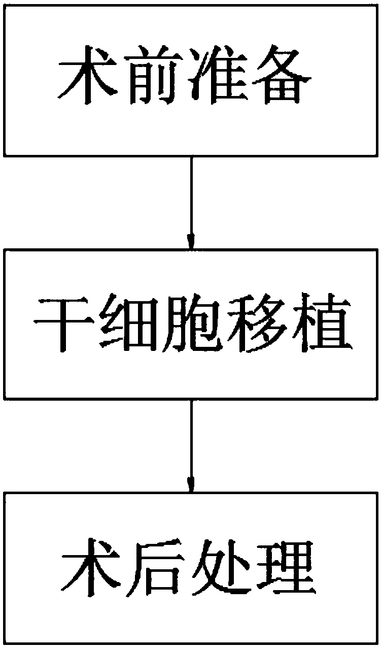 Method of utilizing mesenchymal stem cell transplantation to treat spinal cord injury