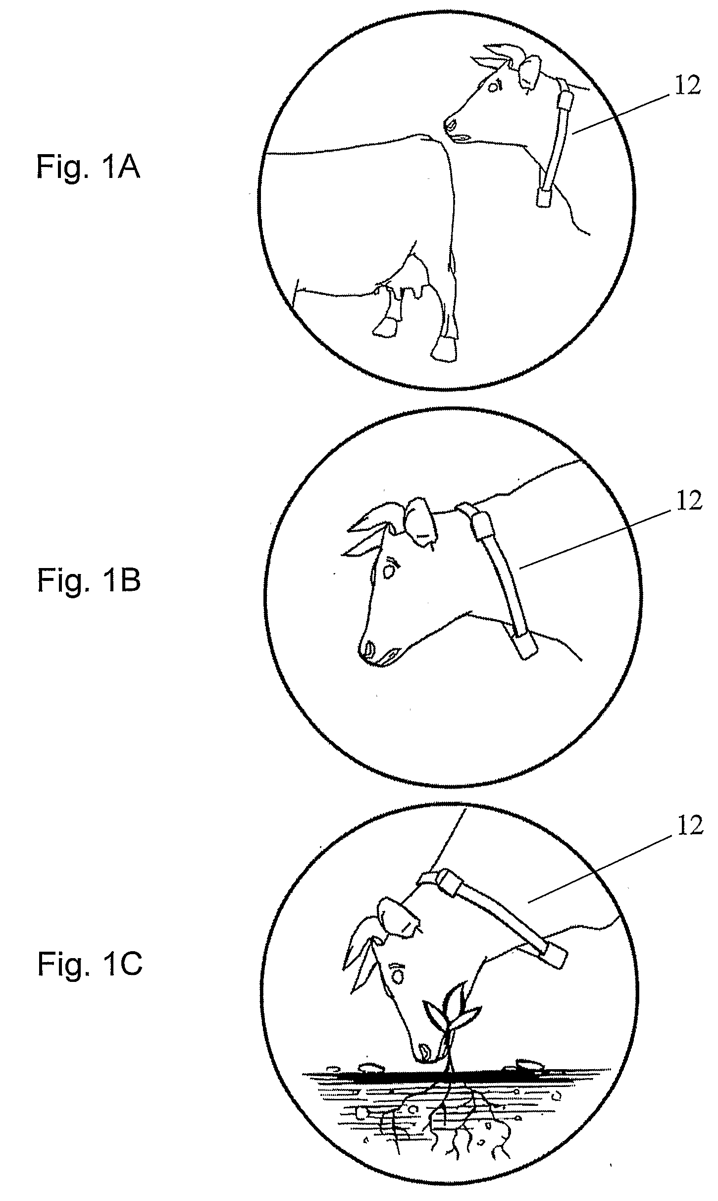 Method and Device for Detecting Estrus