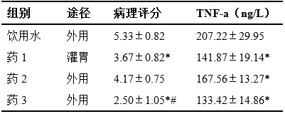 An external compound preparation for improving psoriasis skin symptoms and its application