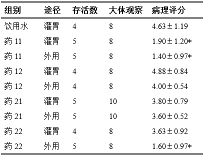 An external compound preparation for improving psoriasis skin symptoms and its application