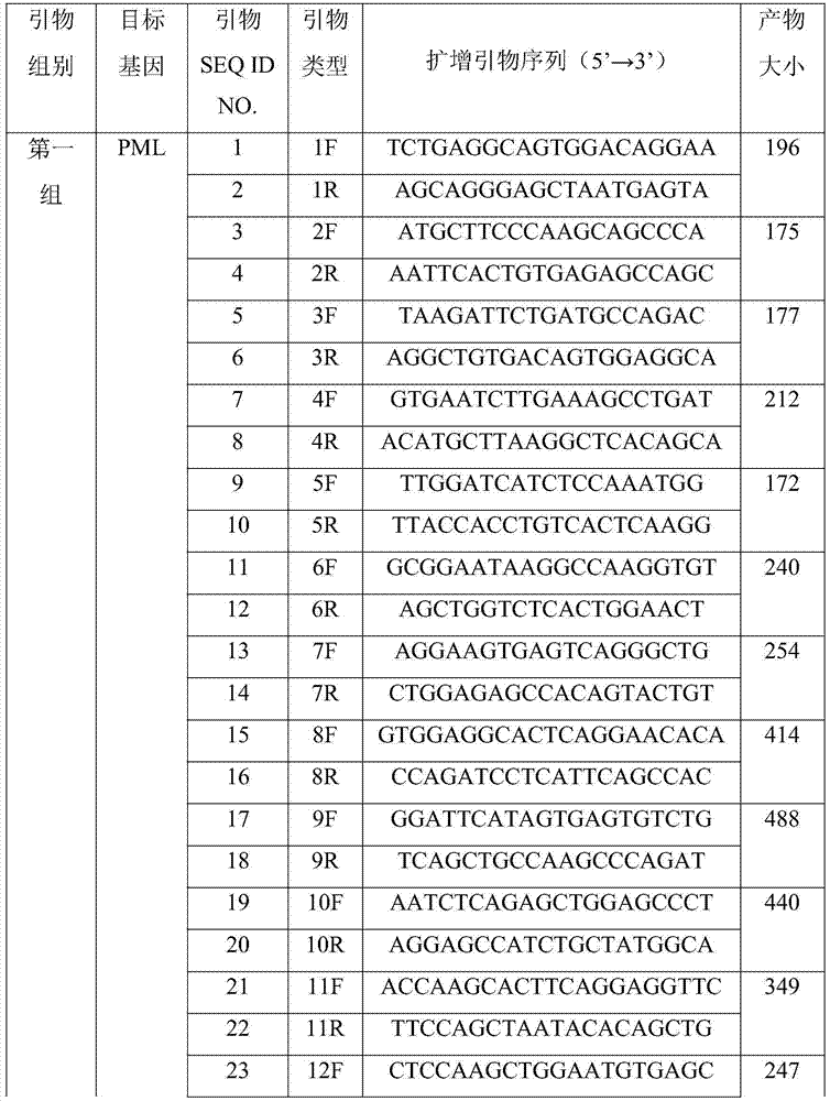 PML/RAR alpha fusion gene detection kit and detection method thereof