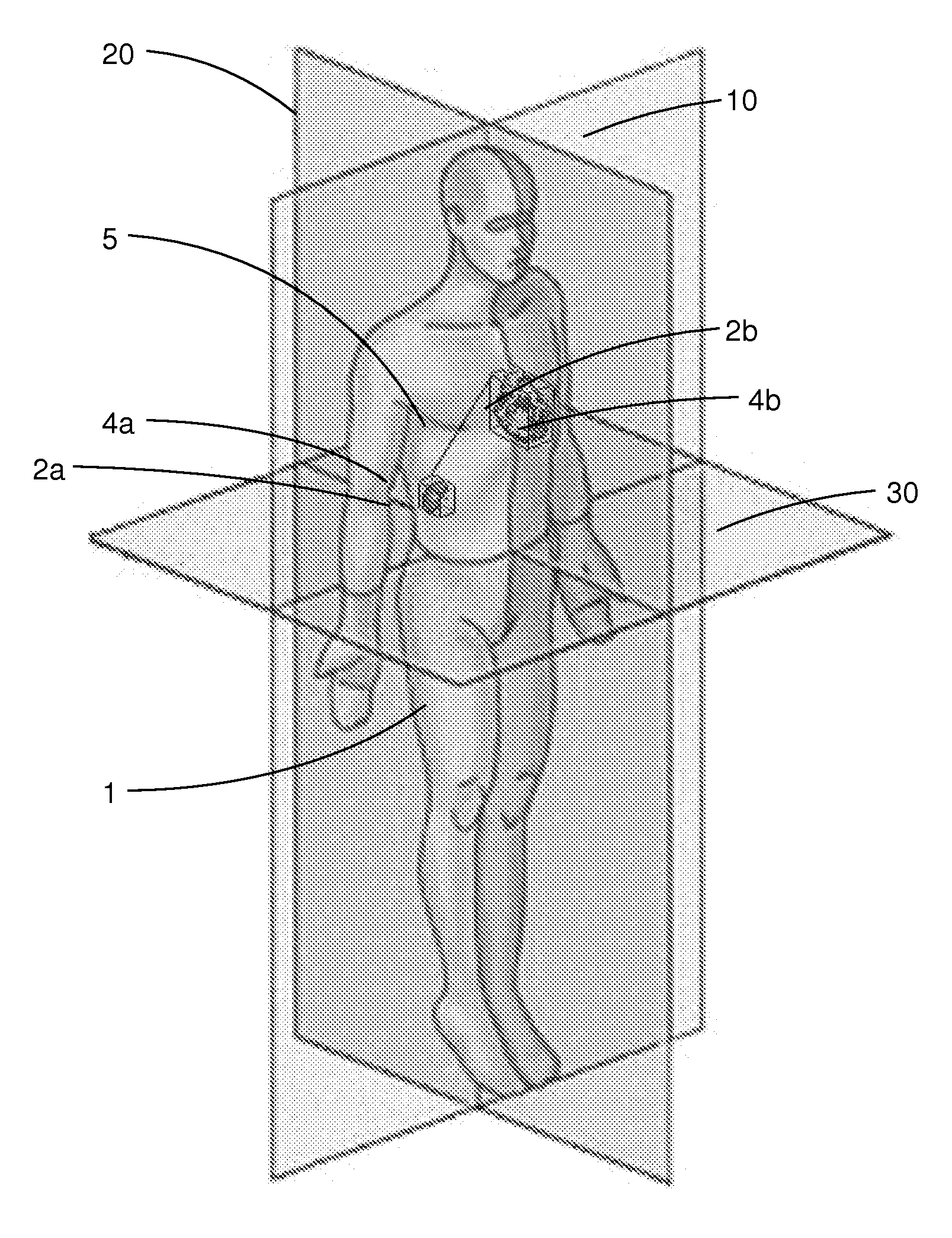 Cartesian human morpho-informatic system