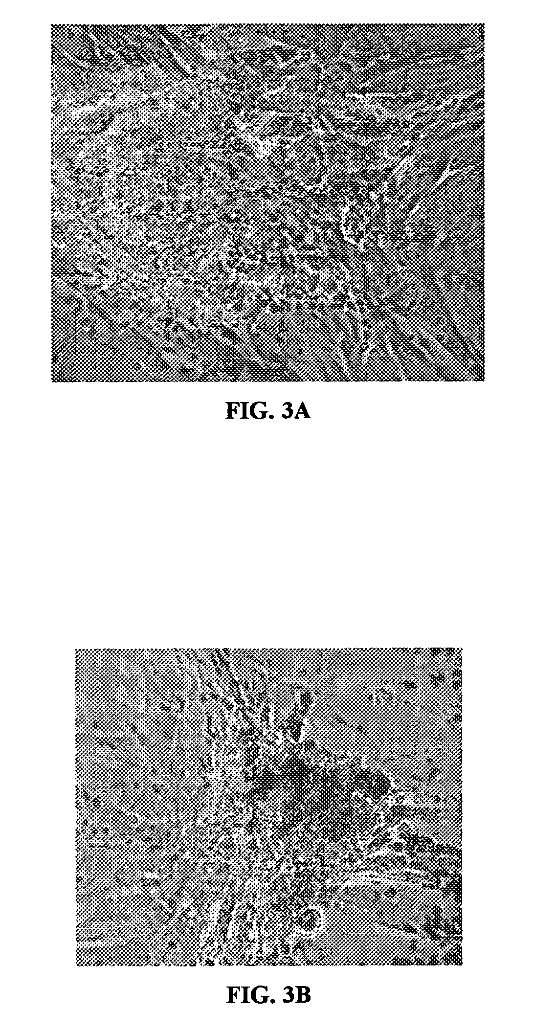 Production of reprogrammed cells with restored potential