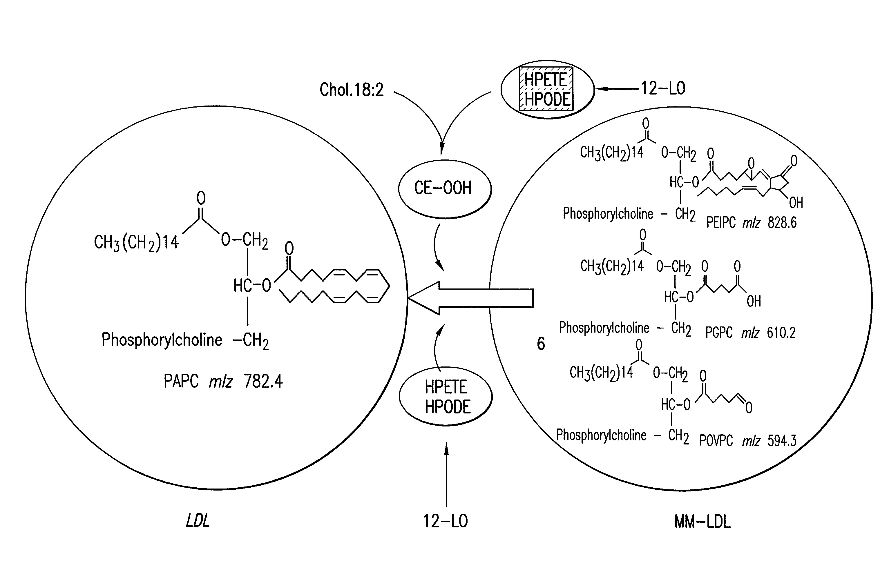 Synthetic apolipoprotein e mimicking polypeptides and methods of use