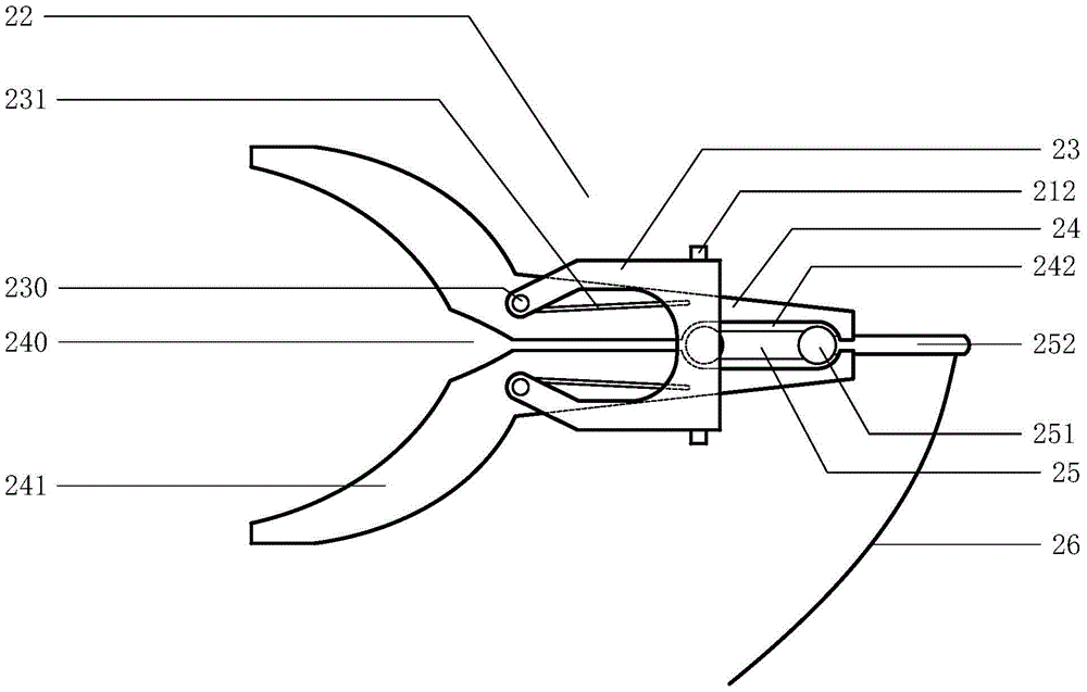 citrus picking device