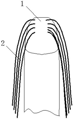 Toe treatment pad